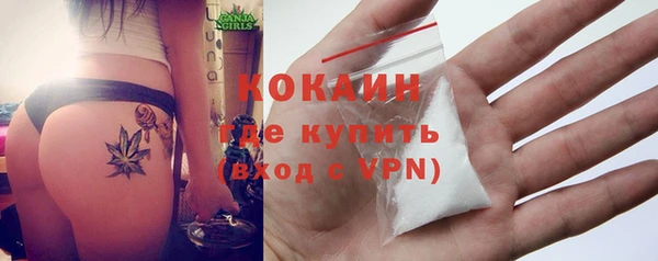 эйфоретик Богданович