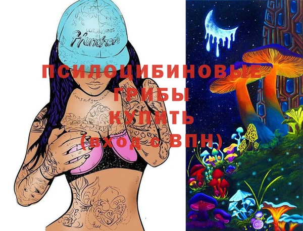 метадон Богородицк
