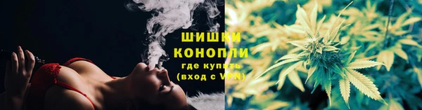 эйфоретик Богданович