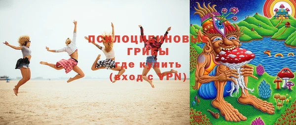 индика Белоозёрский