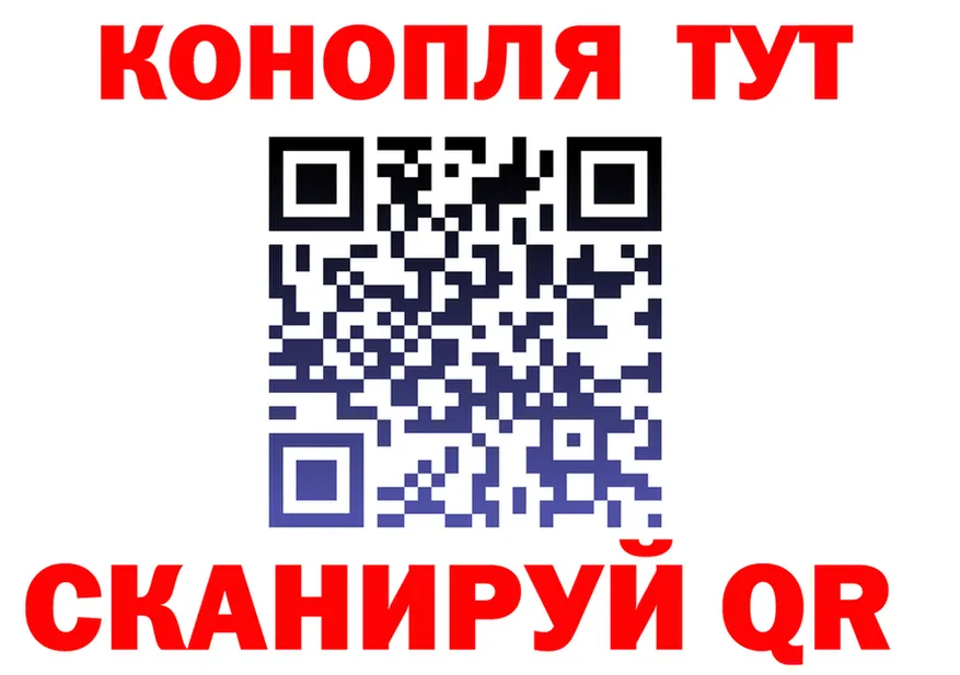 Альфа ПВП СК вход shop OMG Киров