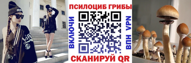 Псилоцибиновые грибы Magic Shrooms  мориарти какой сайт  Киров  закладка 